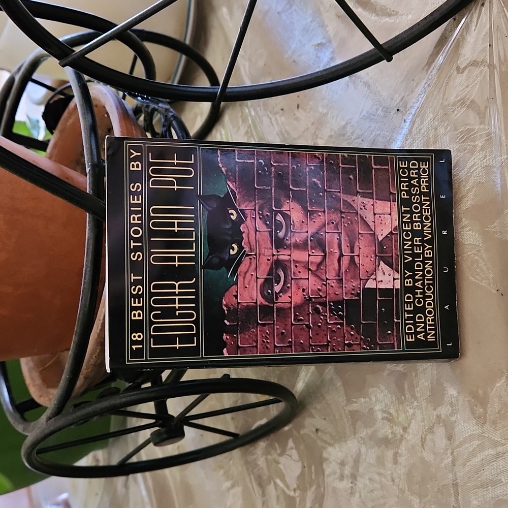 BOOK: EDGAR ALLAN POE